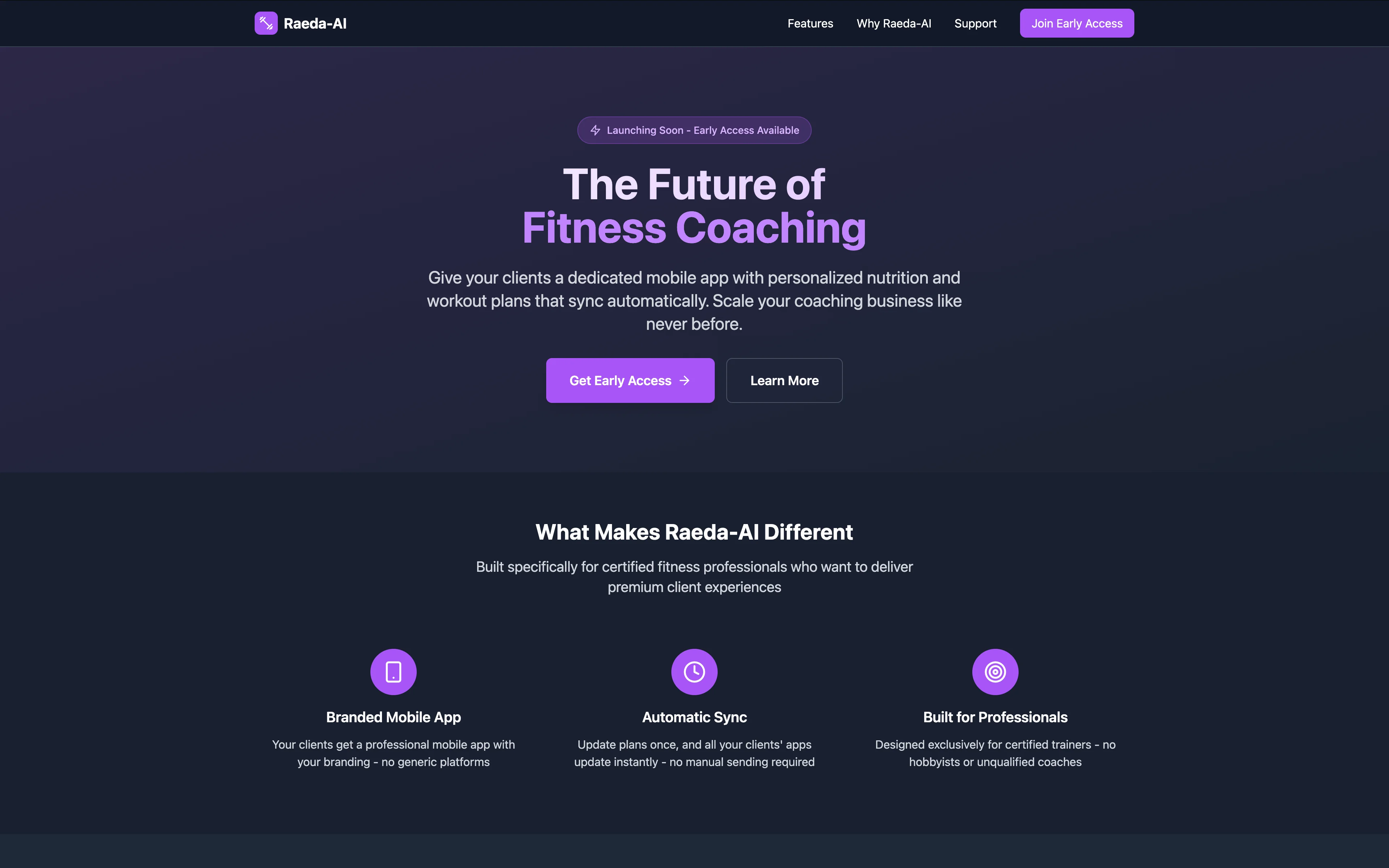 Raeda AI project screenshot